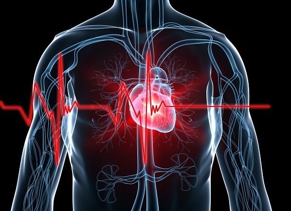 Risk Factors for Heart Disease